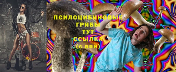 хмурый Алзамай