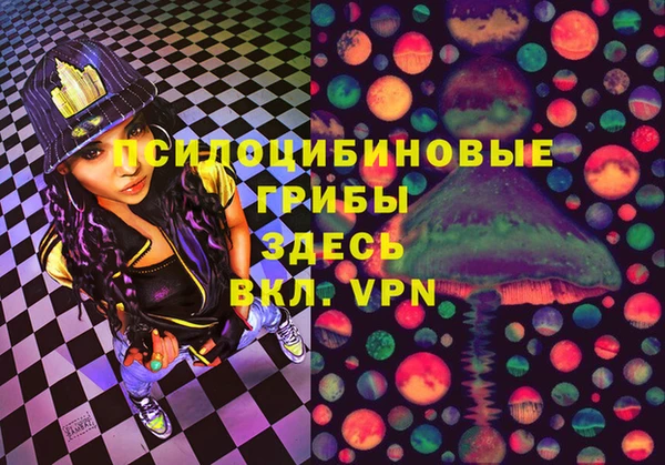 хмурый Алзамай