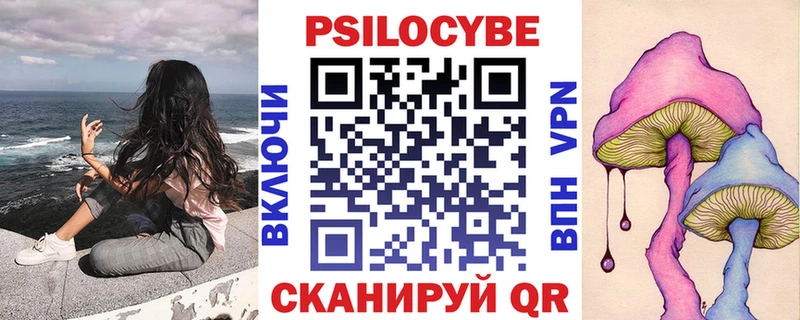 Псилоцибиновые грибы Cubensis  купить  цена  Завитинск 